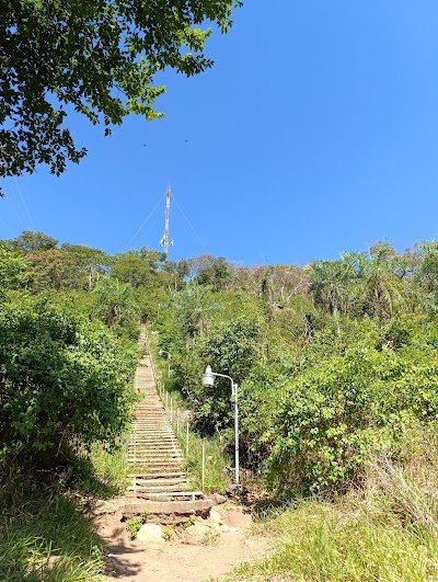 Foto de Escalinata Cerro Antena