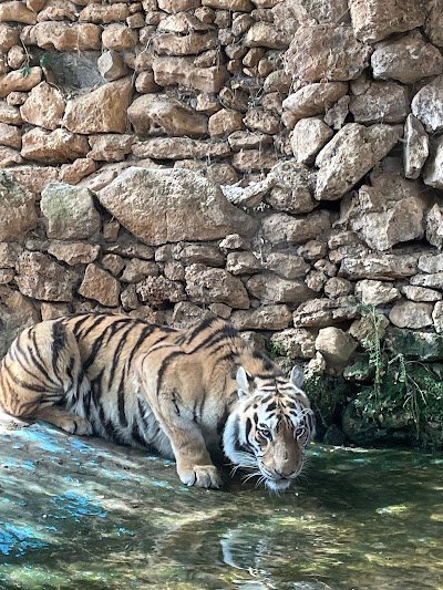 Foto de Zoo de Castellar