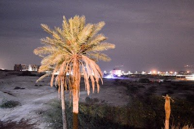 Foto de Thara Dead Sea Resort