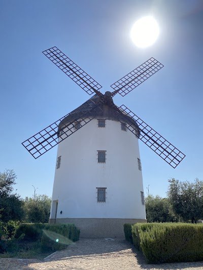 Foto de Museo Molino de Gregorio Prieto
