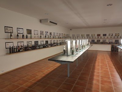 Foto de Museu do Vinho da Bairrada