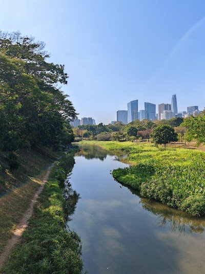 Foto de Shenzhen Central Park
