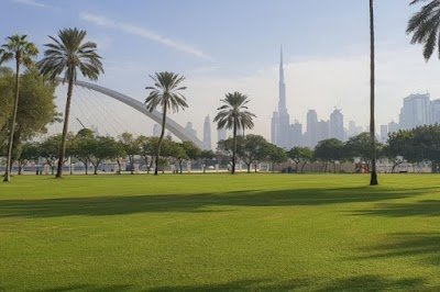 Foto de Parque Safa