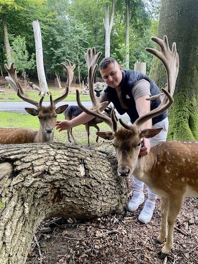 Foto de Deer Park Vejle