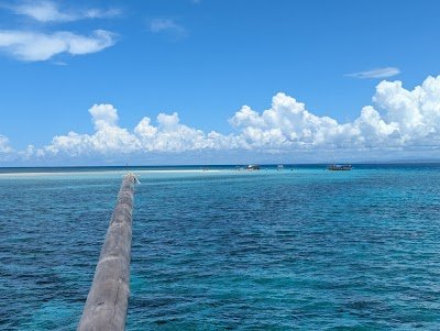Foto de Kisite-Mpunguti Marine National Park