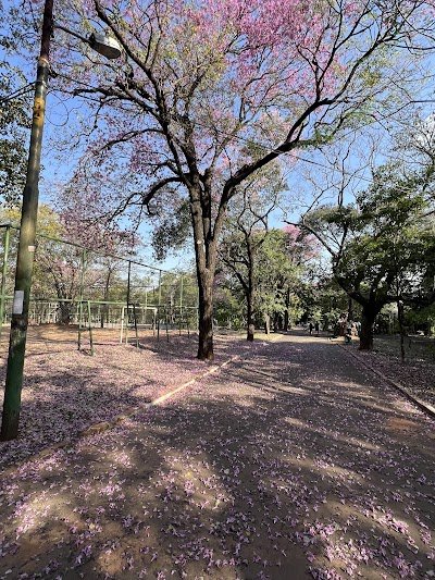 Foto de Parque Carlos Antonio López
