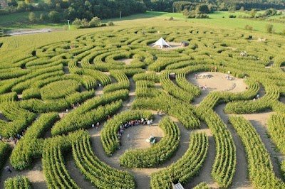 Foto de The Labyrinth of Barvaux-sur-Ourthe