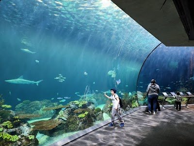 Foto de Aquário de Shedd