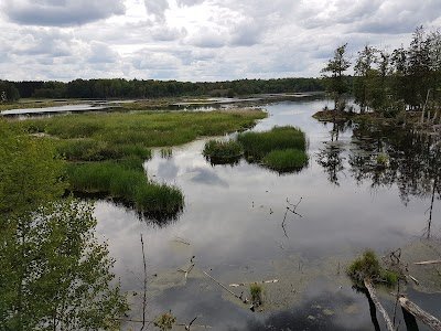 Foto de Tinnerö eklandskap