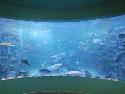 Foto de Parque Marino del Pacifico