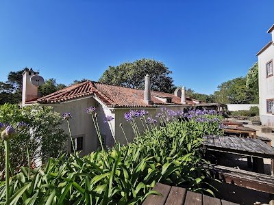 Foto de Quinta dos Lobos Boutique Hotel - Nature Experience