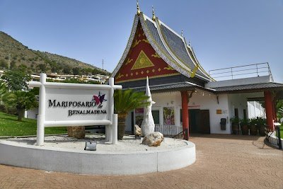 Foto de Mariposario de Benalmádena