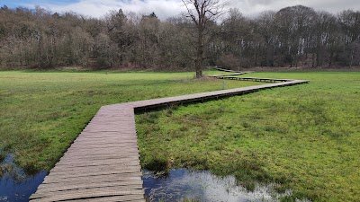 Foto de Renkums Beekdal natuurgebied
