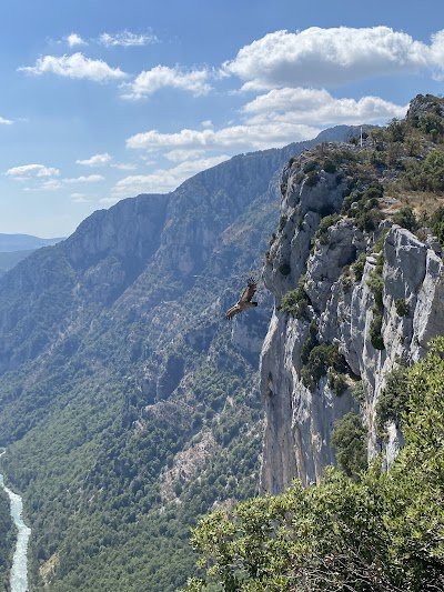 Foto de Route des Crêtes