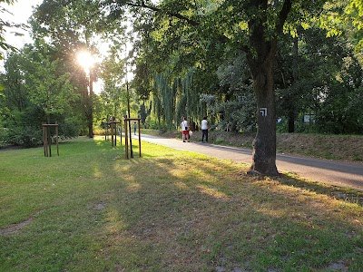 Foto de Adam Wodziczko Park