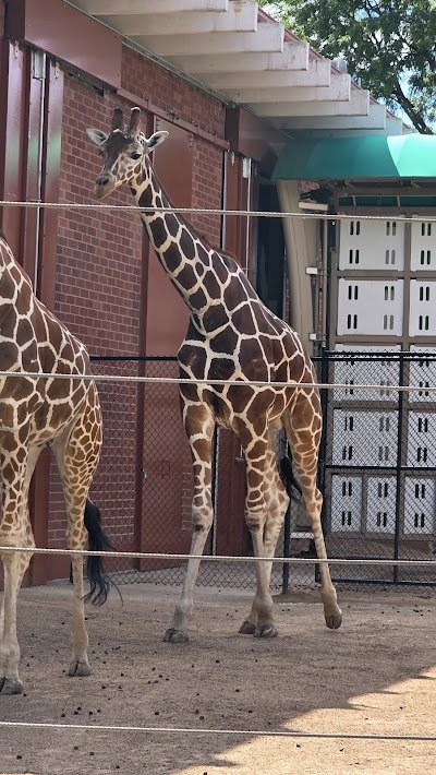 Foto de Zoológico de Denver
