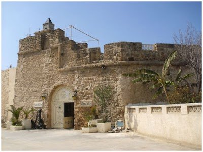 Foto de Oceanographic Museum of Bizerte