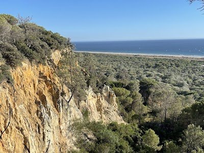Foto de Paisagem Protegida da Arriba Fóssil da Costa de Caparica