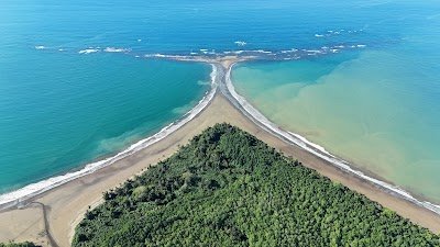 Foto de Parque Nacional Marino Ballena
