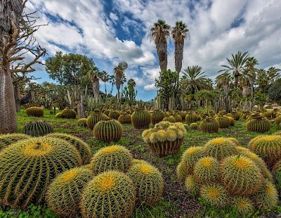 Foto de HaKaktusim Garden