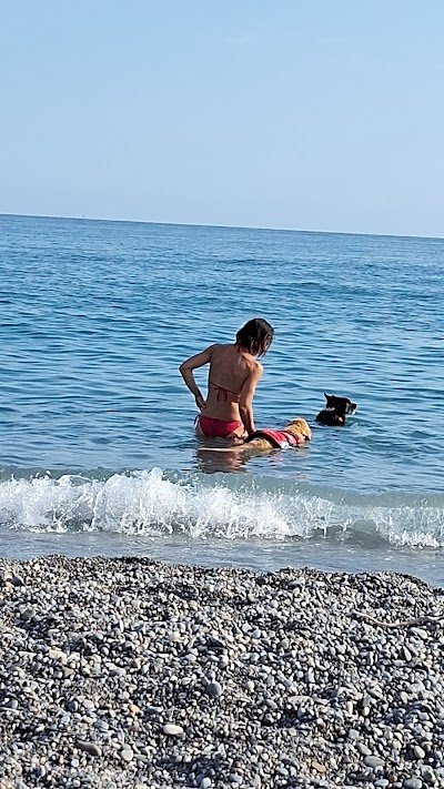 Foto de Spiaggia dei Cani