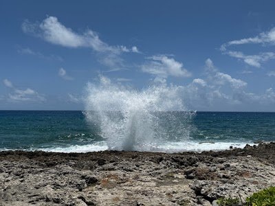 Foto de The Blowholes