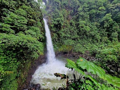 Foto de La Paz Waterfall Gardens Nature Park