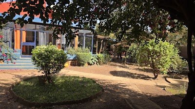 Foto de Les Palmiers Hotel