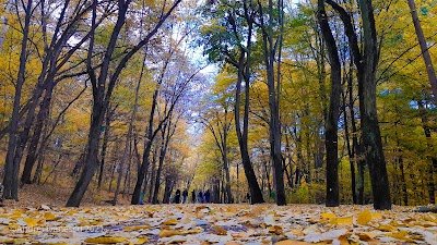 Foto de Trivale Natural Parc