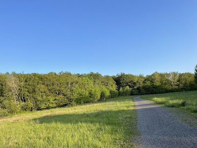 Foto de Duloh-Löbbecken-Kopf