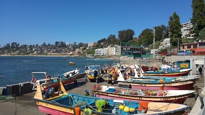 Foto de Caleta Higuerillas