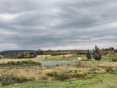 Foto de Wilhelminenaue