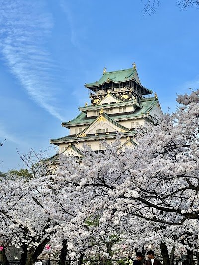 Foto de Parque do Castelo de Osaka