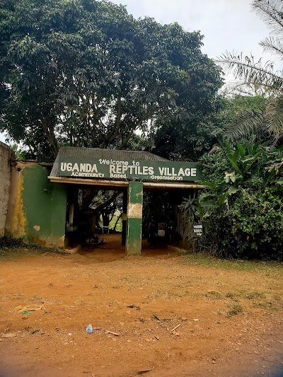 Foto de Reptile village in Entebbe