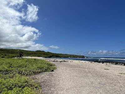 Foto de Playa Lobería