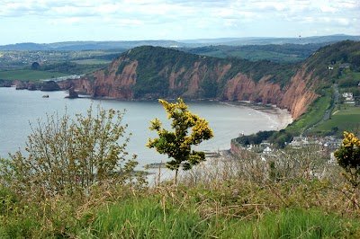 Foto de National Trust - Sidmouth countryside