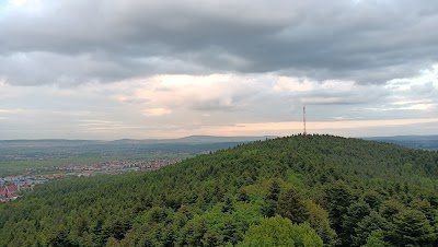Foto de Góra Hałasa