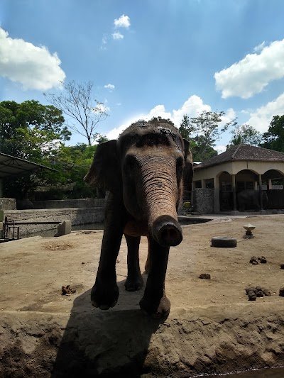 Foto de Museum Satwa Gembira Loka Zoo