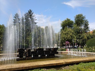 Foto de Satu Mare Central Park