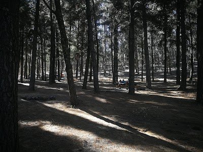 Foto de Tunari Park