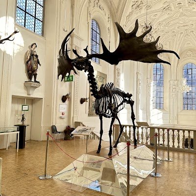 Foto de German Hunting and Fishing Museum