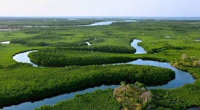 Foto de Saloum Delta National Park