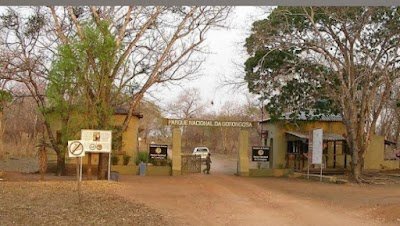 Foto de Parque Nacional da Gorongosa
