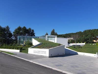 Foto de Todor Proeski Memorial House