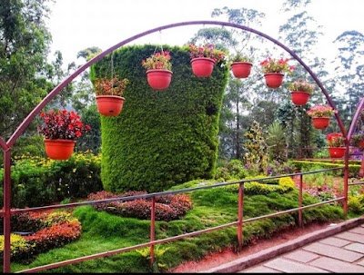 Foto de Munnar Rose Garden