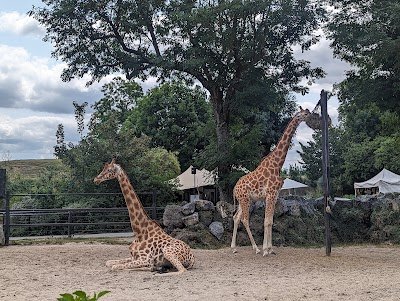 Foto de Zoo Maubeuge
