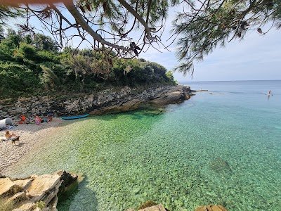 Foto de Beach Radovica