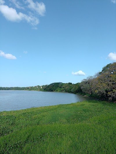 Foto de Parque de La Represa