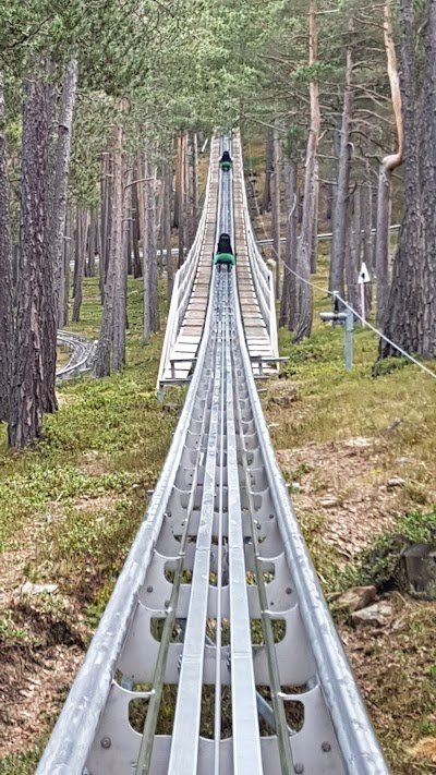 Foto de Naturlandia