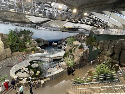 Foto de Montreal Biodome